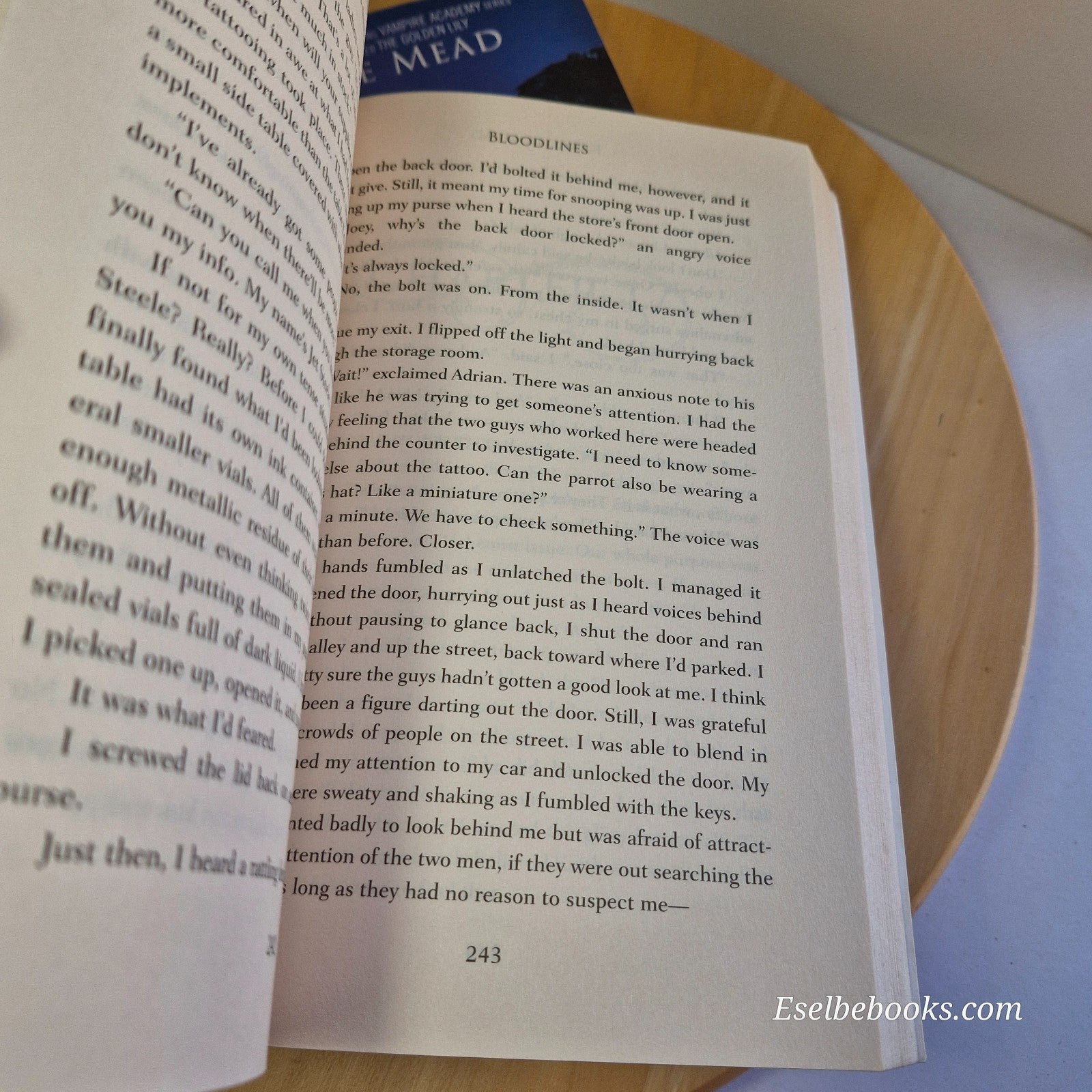 Richelle Mead Bloodlines books 1 & 3 - Bloodlines and The Indigo Spell