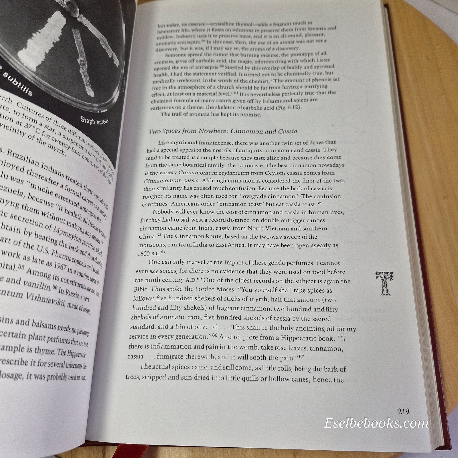 Classics of Medicine Library "The Healing Hand" by Guido Majno Leather HC