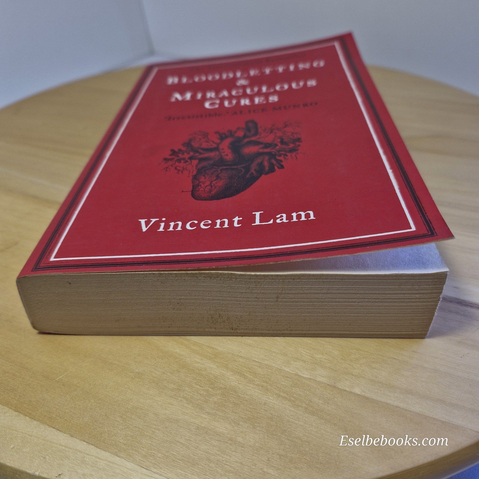 Fiction: Bloodletting and Miraculous Cures by Vincent Lam 2008 - paperback