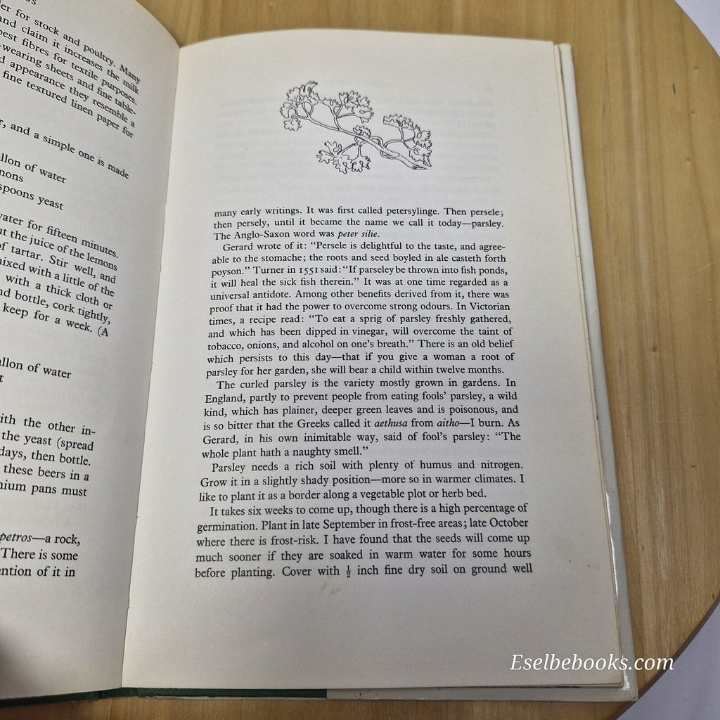 Garden Herbs For Australia And New Zealand by Christina Macdonald - hardback