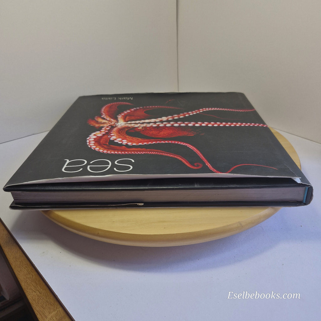 Sea By Mark Laita · 2011 - hardback