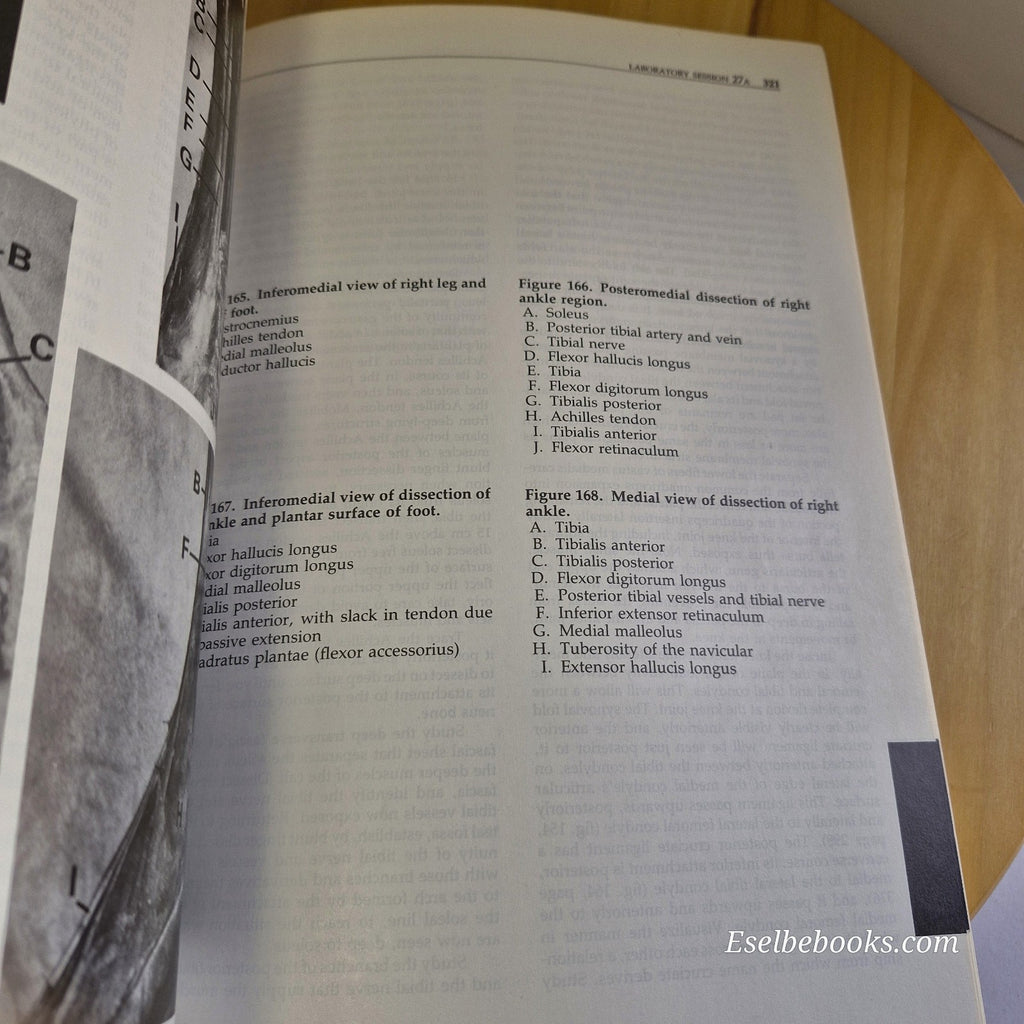 Your Patient's Anatomy A Clinical View of Human Morphology By Stan R. Blecher