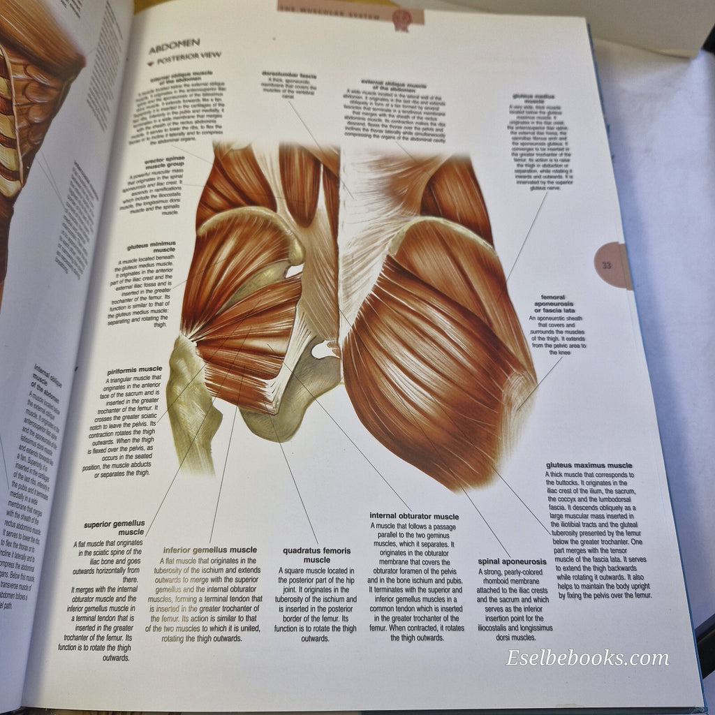 Atlas of the Human Body By Jordi Vigué, Emilio Martín Orte · 2009 - hardback