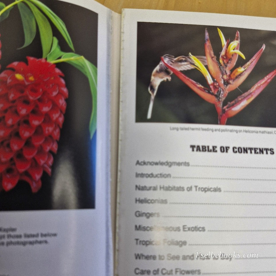 Exotic Tropicals of Hawaii: Heliconias anthurums & decorative foliage - A Kepler