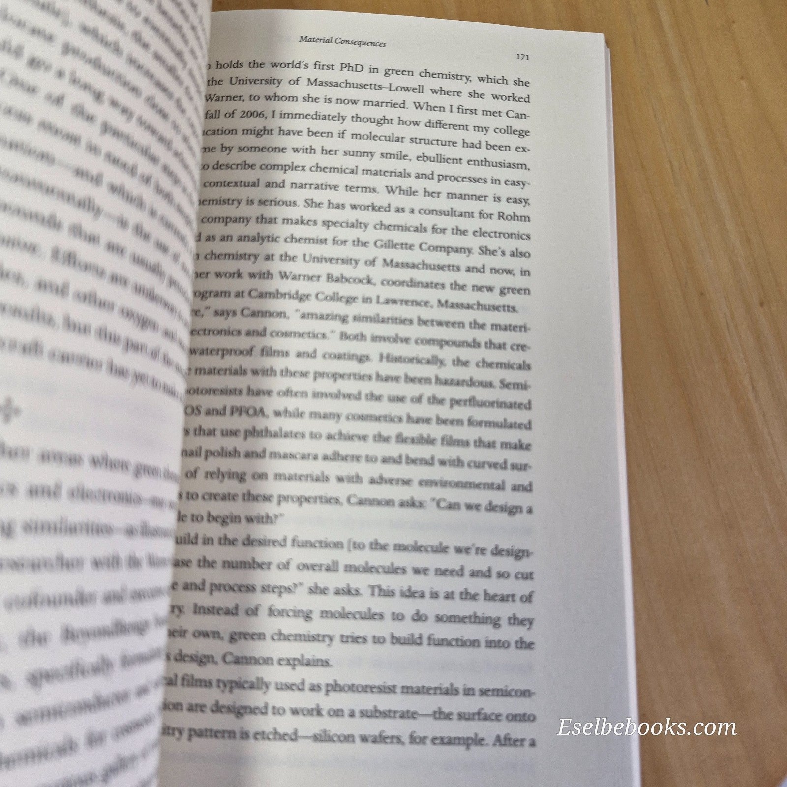 Chasing Molecules by Elizabeth Grossman - paperback