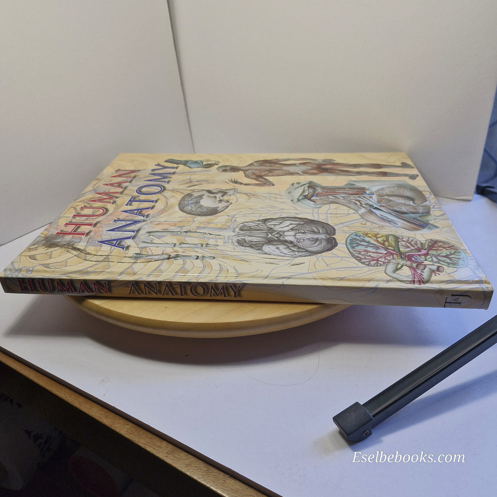 Human Anatomy By Giovanni Iazzetti · 2006 - large hardback