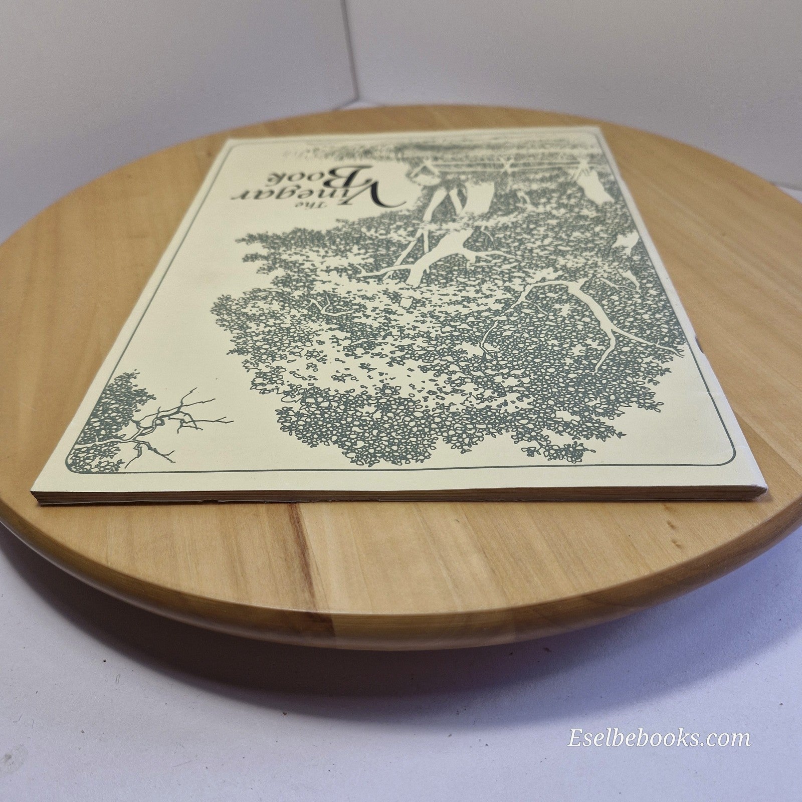 Vinegar Book by Emily Thacker ~ 1994 large paperback ~ Third Edition