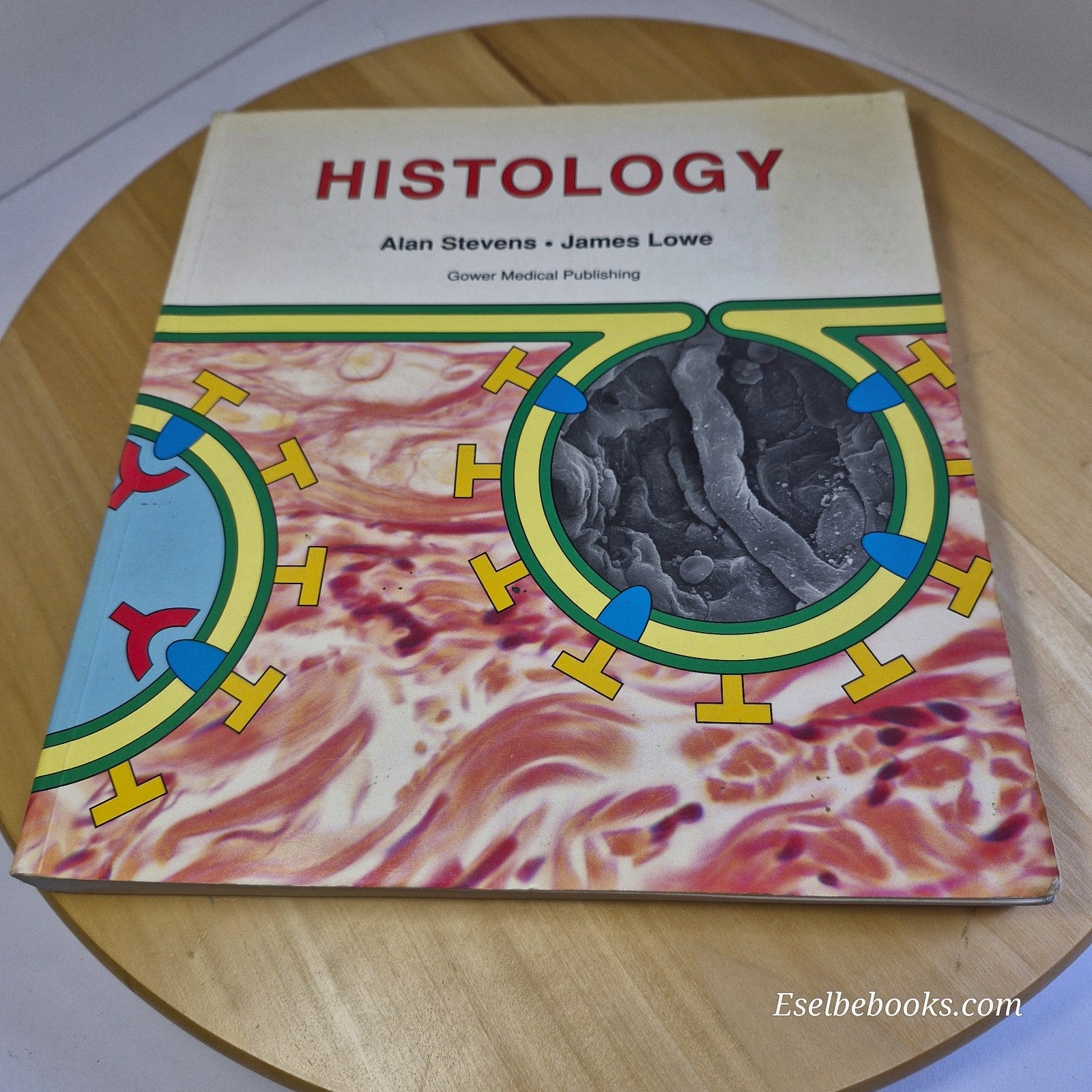 Histology by Alan Stevens & James Lowe - paperback