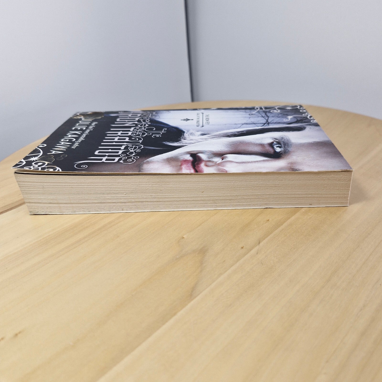 Fantasy fiction: The Iron Traitor By Julie Kagawa · 2013 - paperback