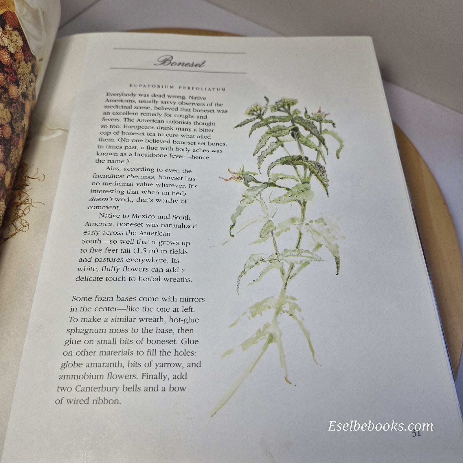 3 books - herbal wreaths/herbal crafts - how to guides - hardbacks