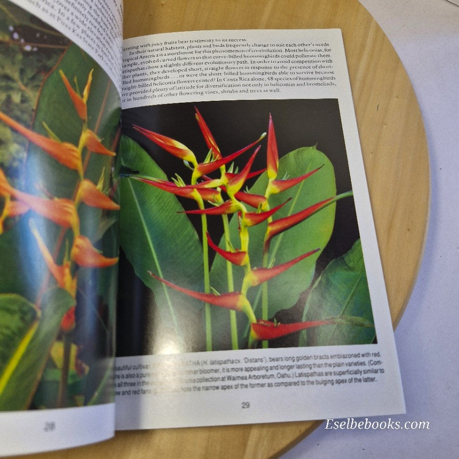 Exotic Tropicals of Hawaii: Heliconias anthurums & decorative foliage - A Kepler