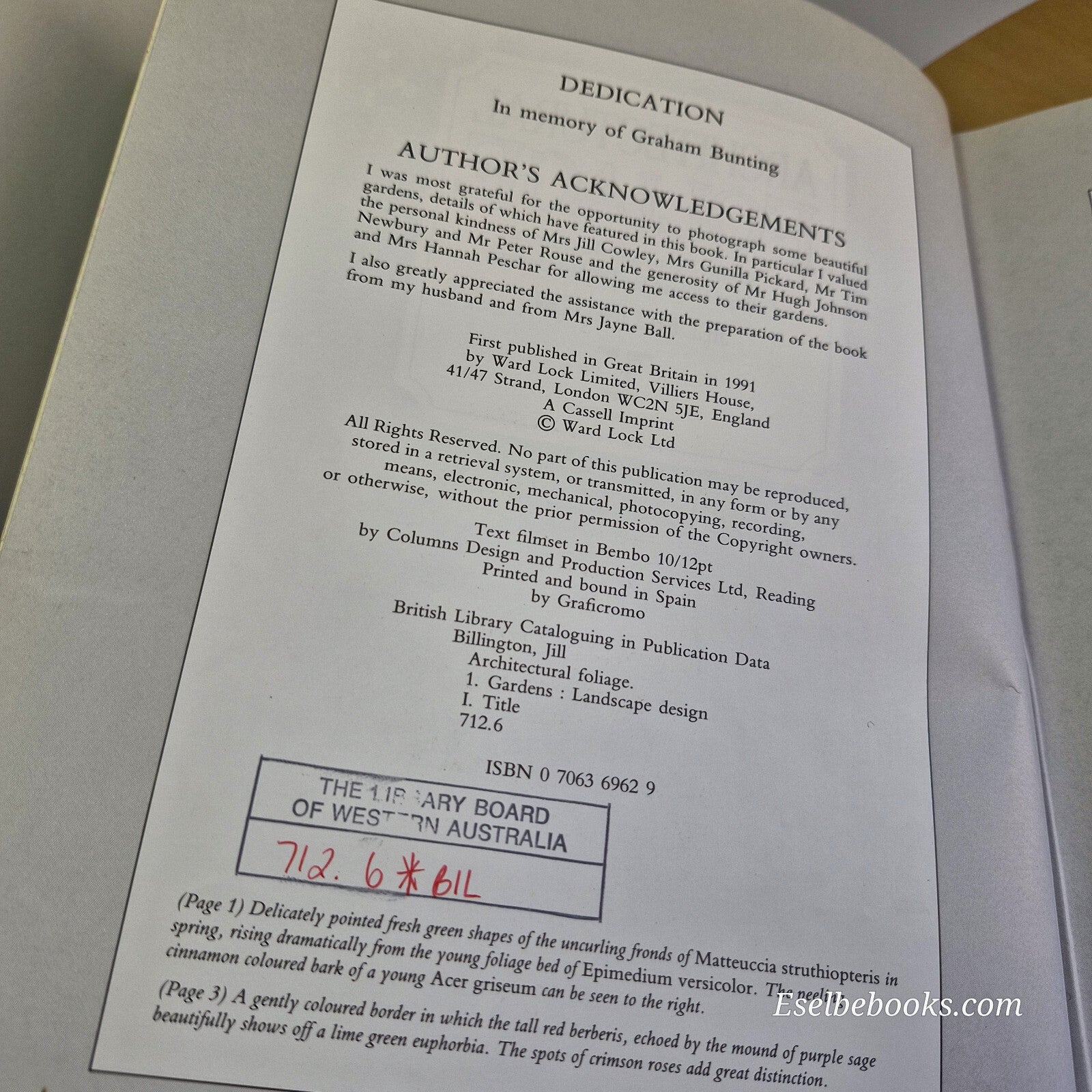 Architectural Foliage Shape, Form and Texture of Foliage Plants in Garden Des...