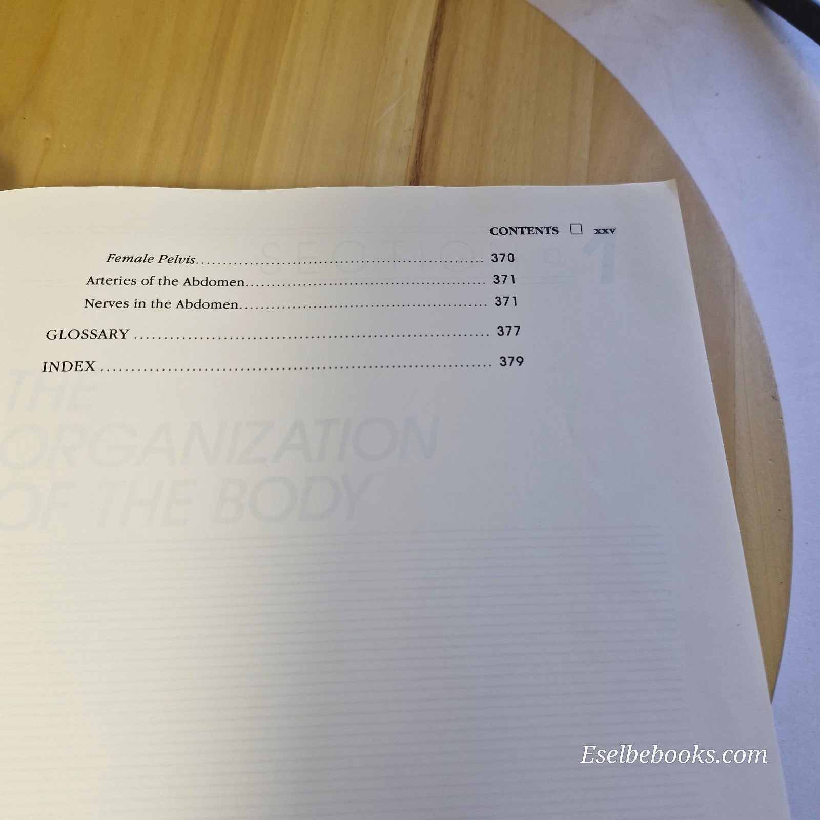 Hollinshead's Functional Anatomy of the Limbs and Back - paperback