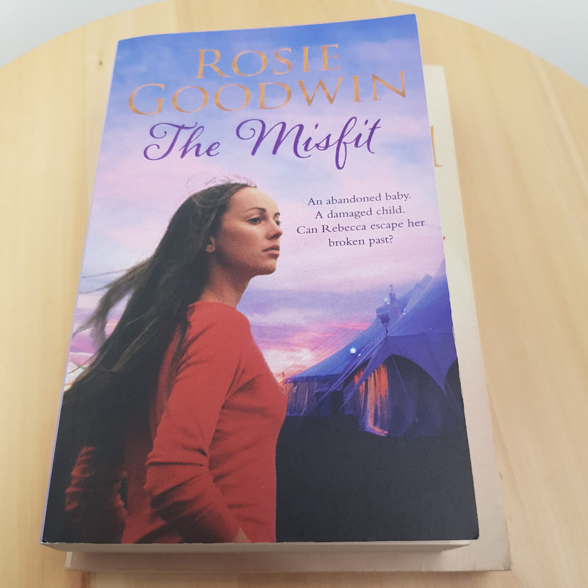 The vanishing act of Esme Lennox - The house by the sea - The misfit  - paper...