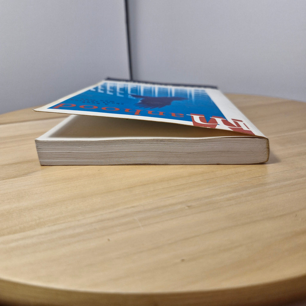 Self-help: Manhood An Action Plan for Changing Men's Lives By Steve Biddulph ...