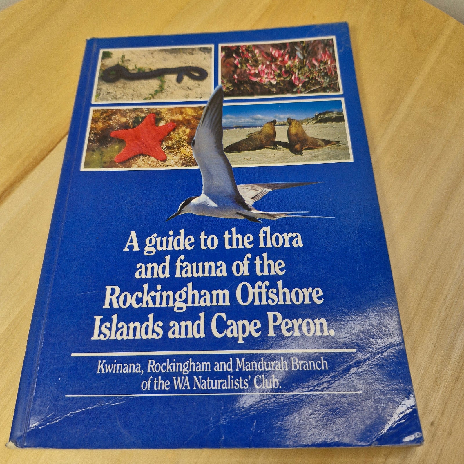 A guide to the flora & fauna of the Rockingham Offshore Islands and Cape Pero...