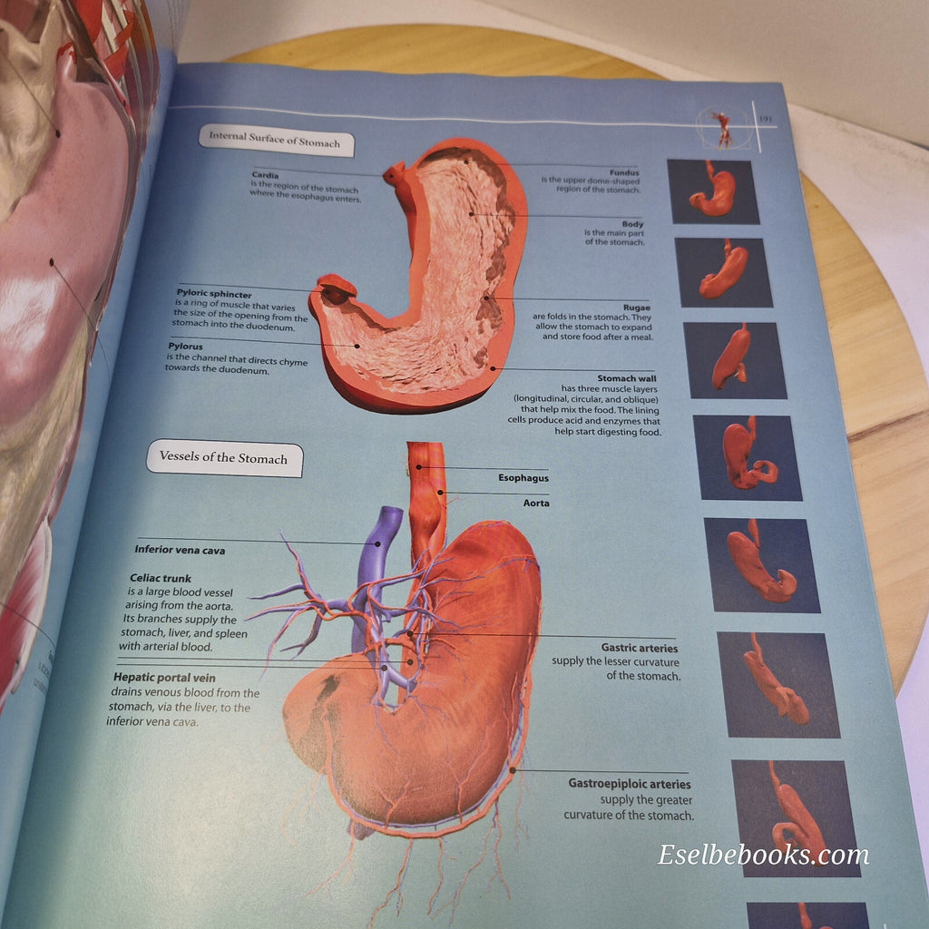 Anatomy 360° The Ultimate Visual Guide to the Human Body By Jamie Roebuck · 2...