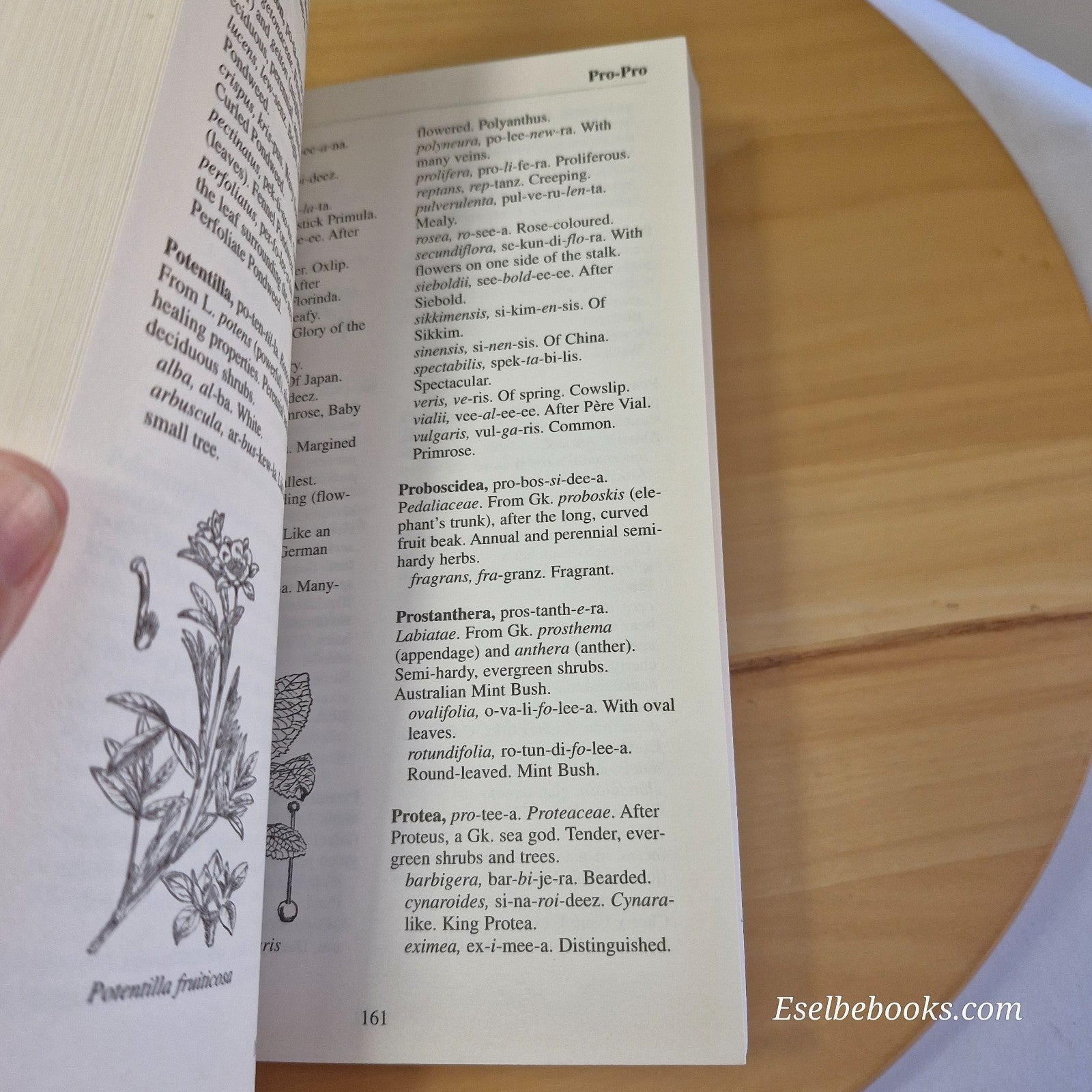 Name that Plant By Worth Press Limited Ed. Martin Page · 2006 - paperback