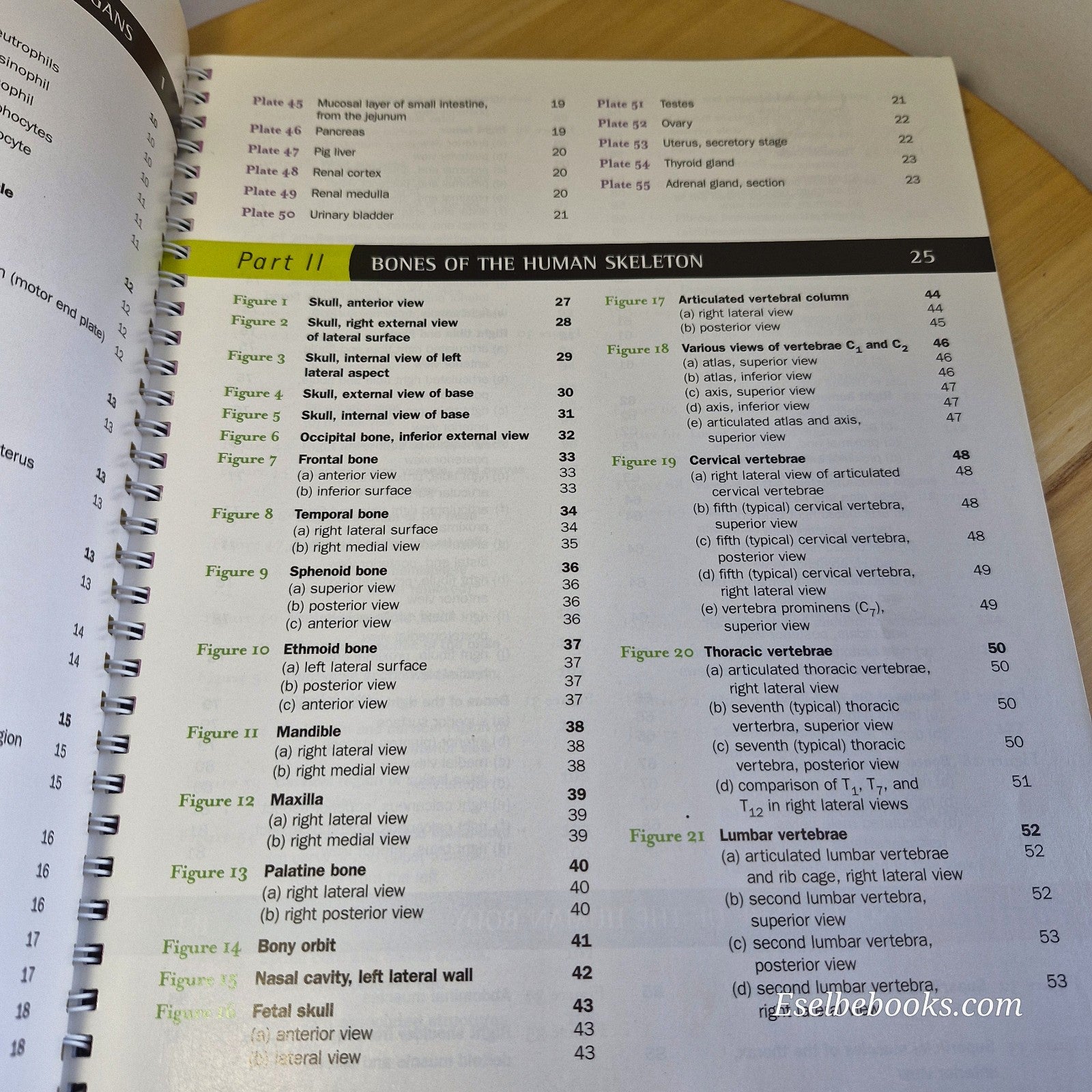 A Brief Atlas of the Human Body - Matt Hutchinson Second Edition Spiral Textbook