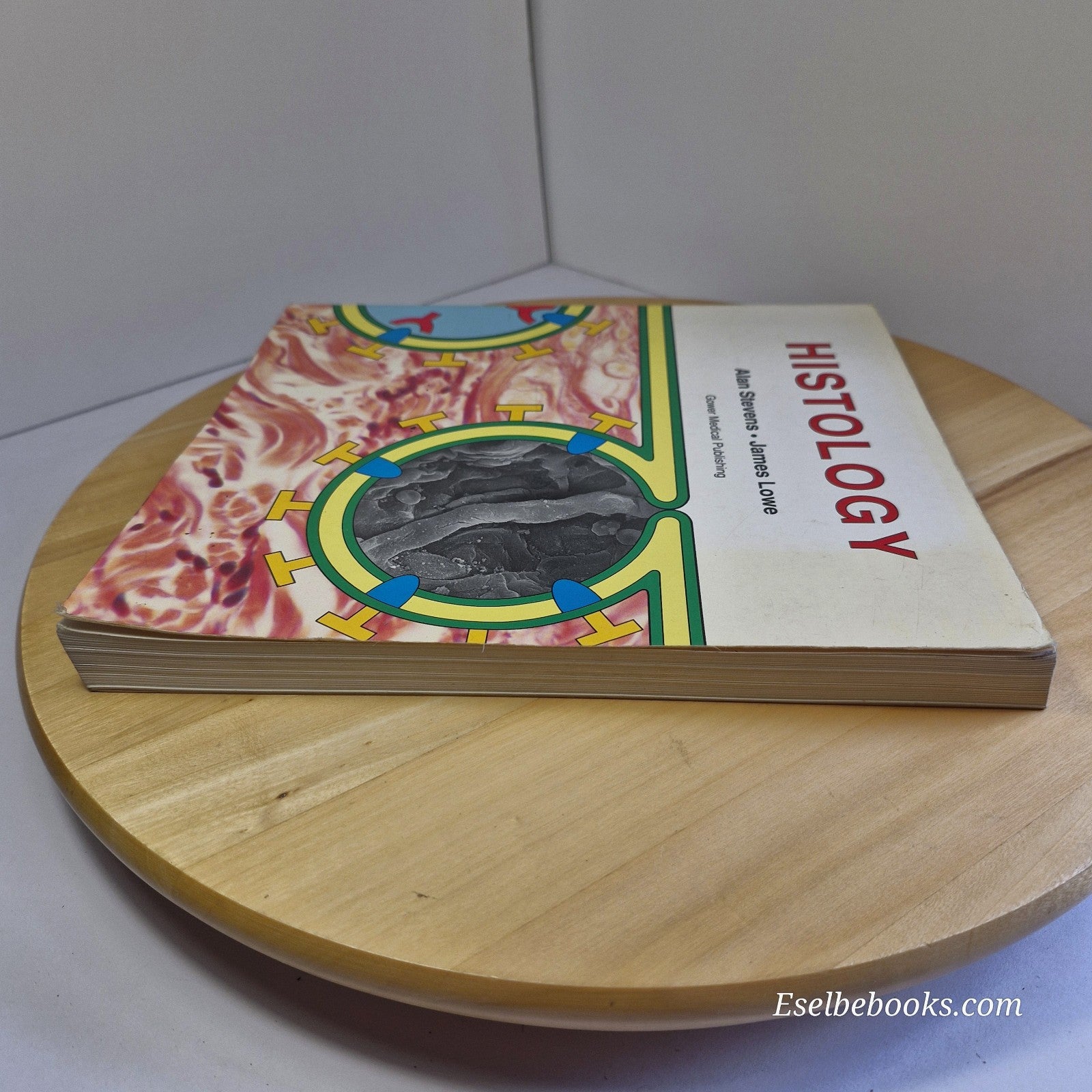 Histology by Alan Stevens & James Lowe - paperback