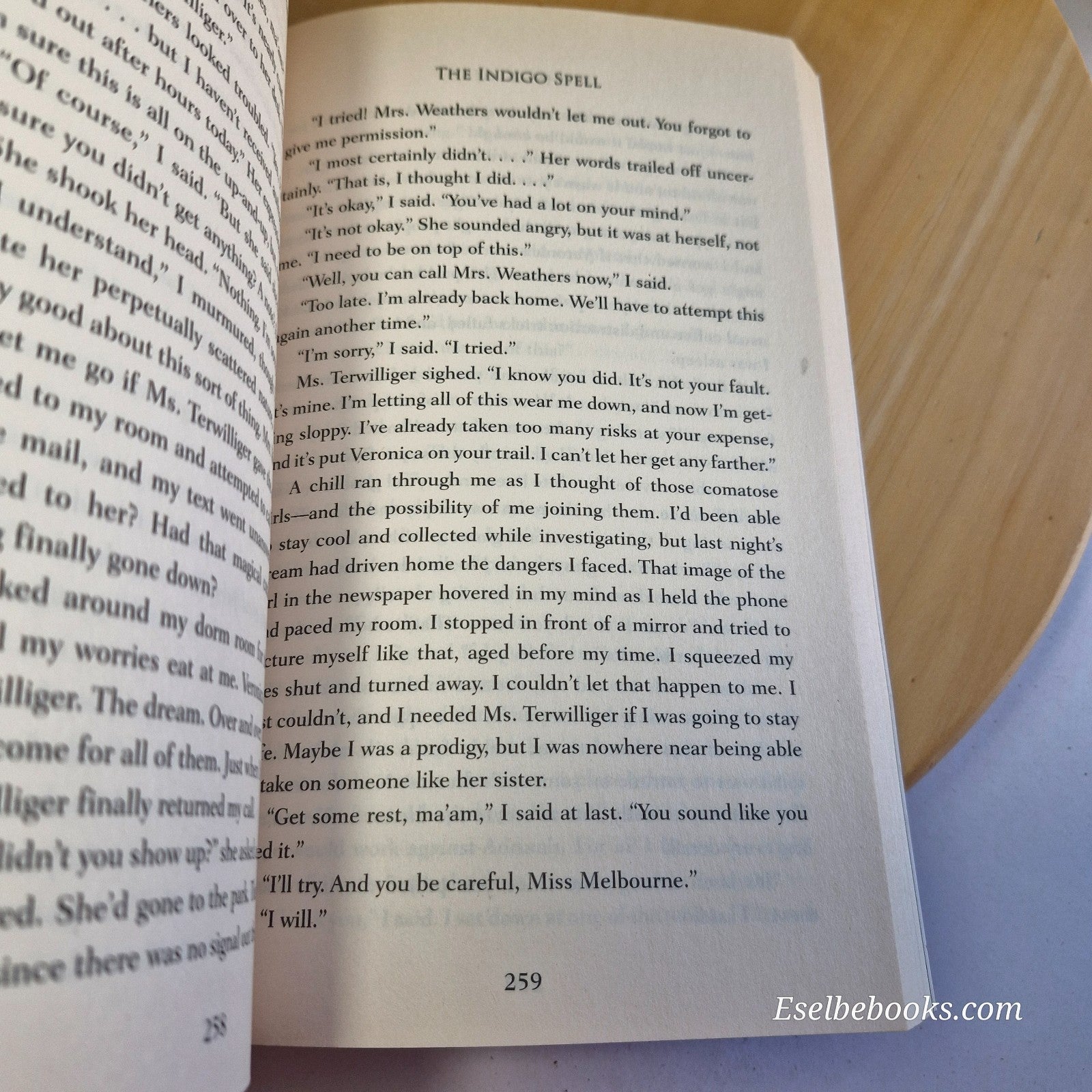 Richelle Mead Bloodlines books 1 & 3 - Bloodlines and The Indigo Spell