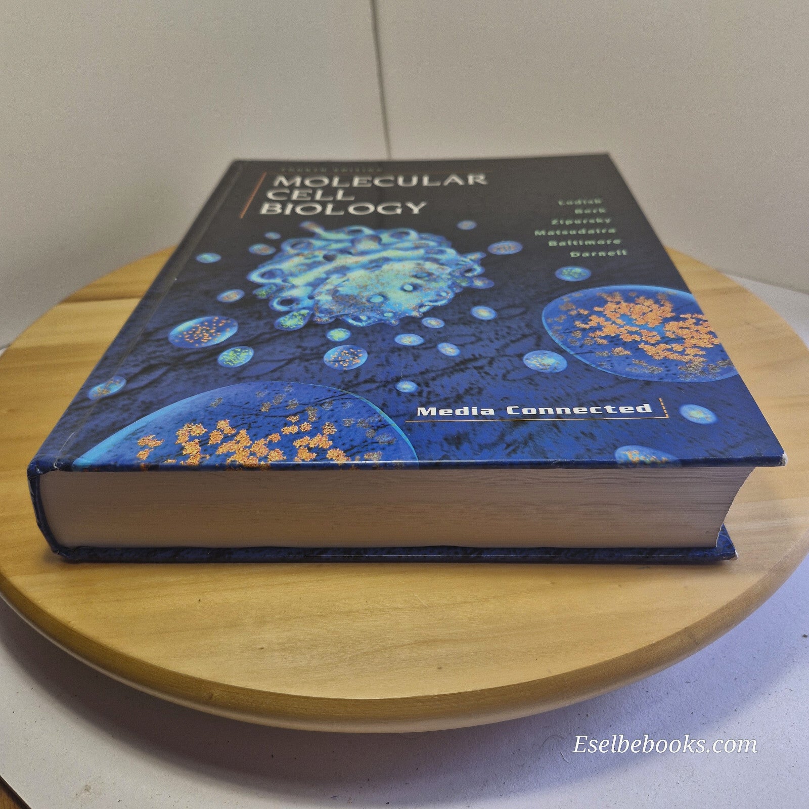Molecular Cell Biology By Harvey F. Lodish · 4th edition - hardback