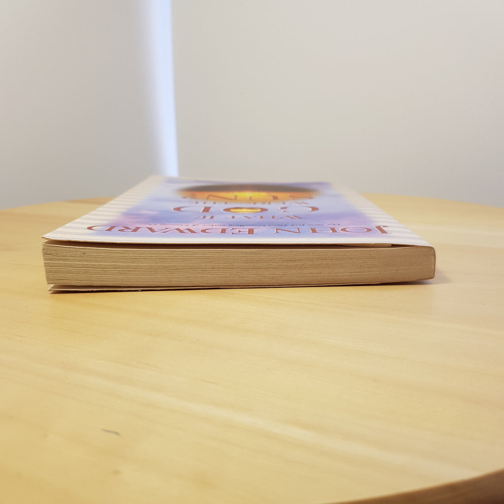 Religious fiction: What If God Were the Sun? By John J. Edward · 2004 - paper...