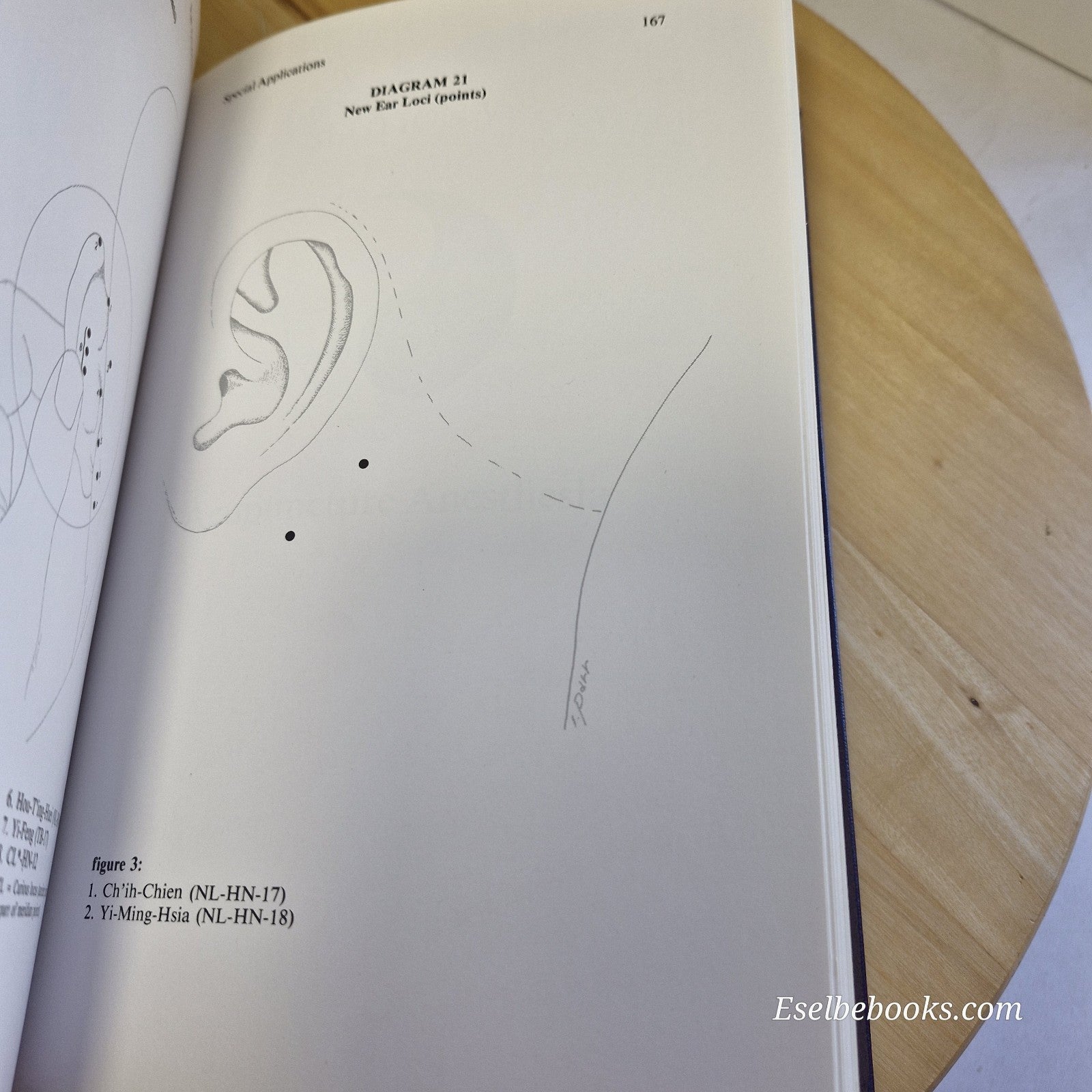 The Ear - Gateway to Balancing the Body: A Modern Guide to Ear Acupuncture