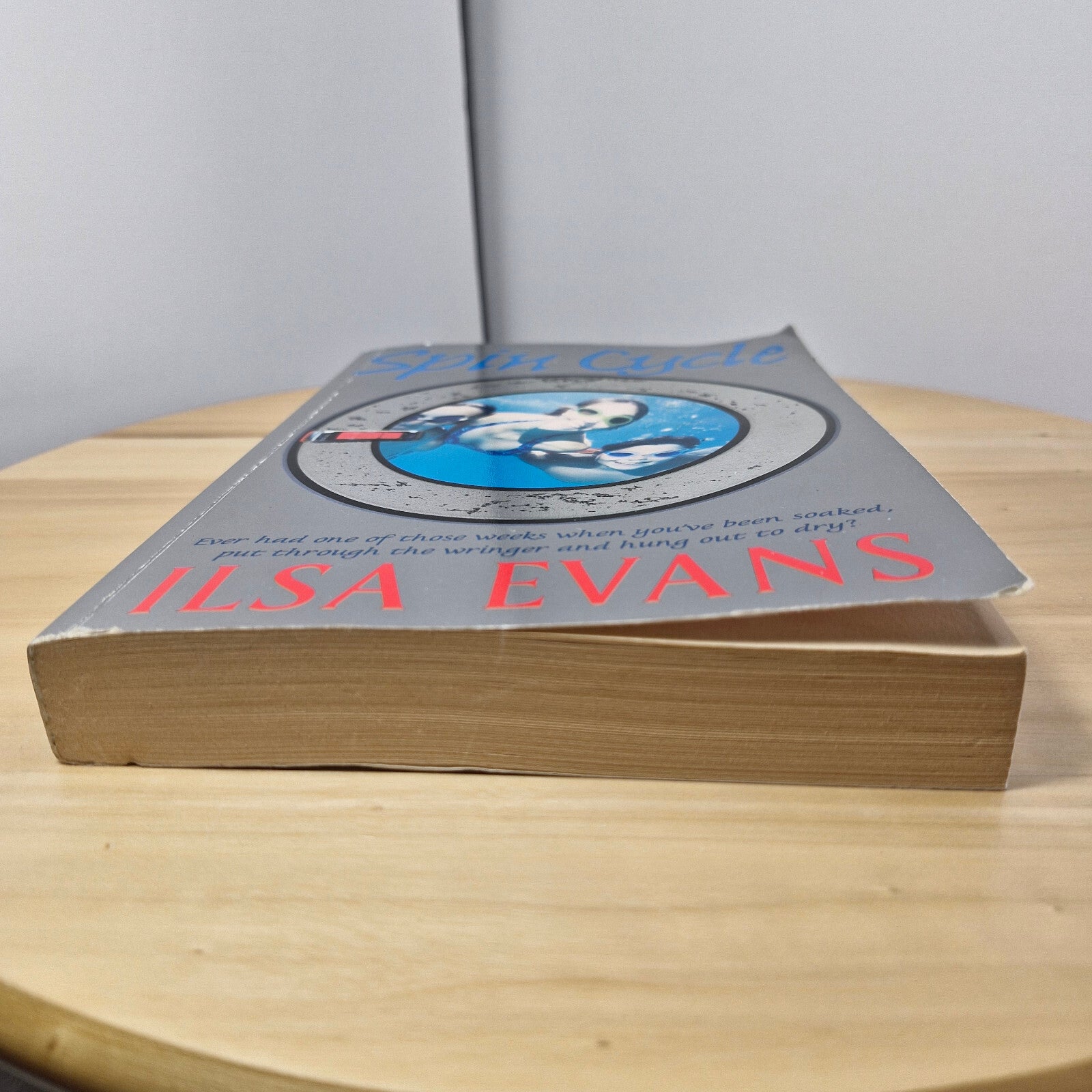 Australian Author: Spin Cycle By Ilsa Evans · 2002 - large paperback