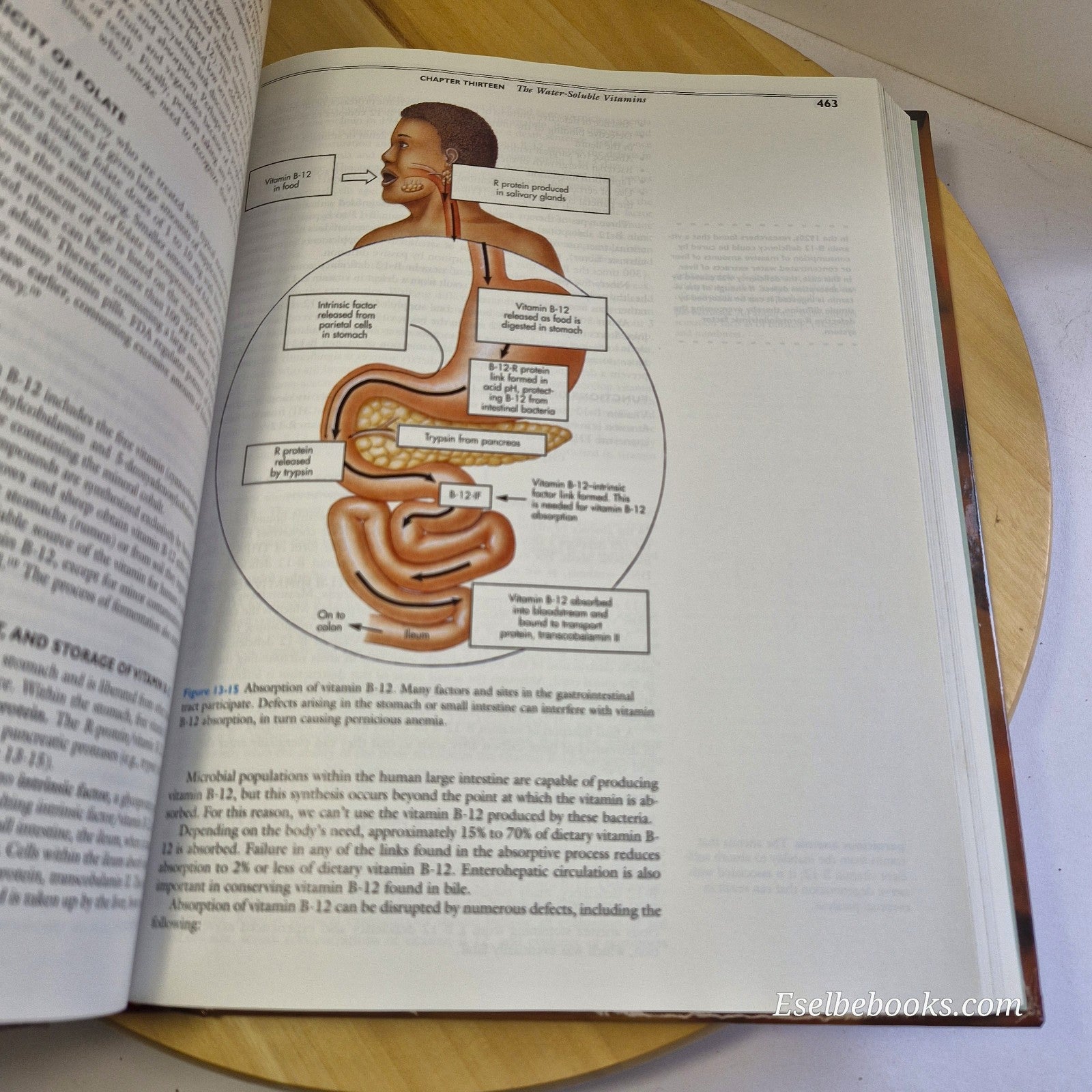 Perspectives In Nutrition (3rd Ed) by Gordon M. Wardlaw & Paul M. Insel - HB