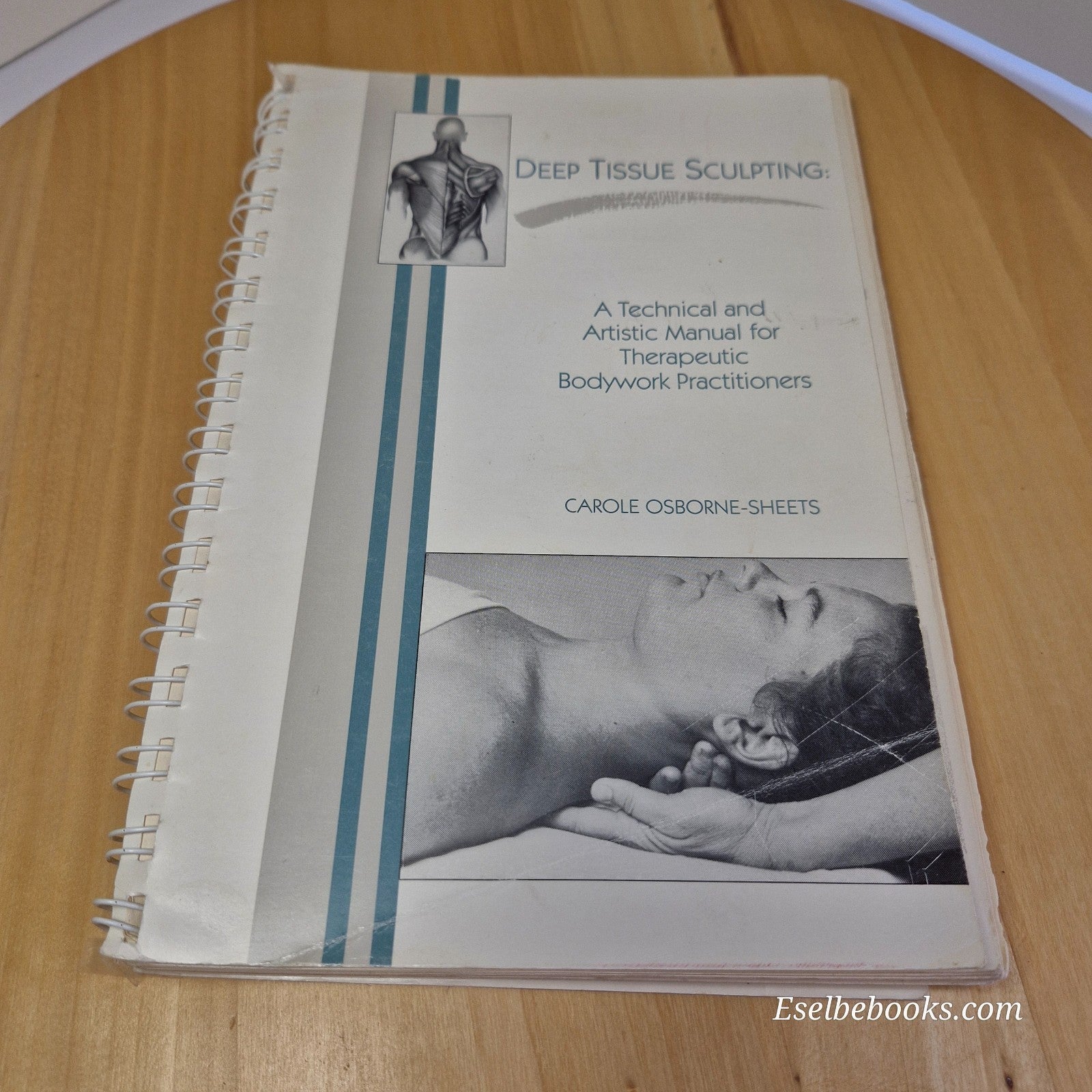 Deep Tissue Sculpting A Technical and Artistic Manual for Therapeutic Bodywork