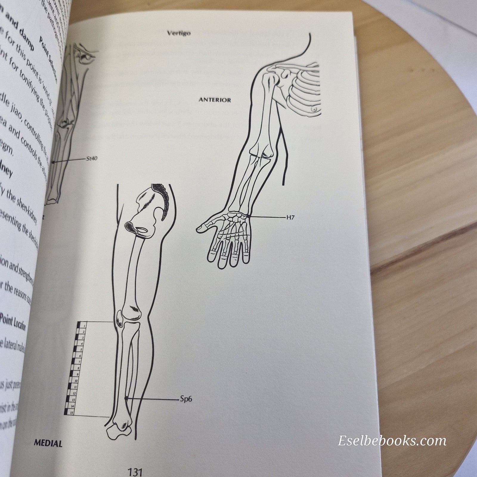 The Acupuncture Treatment of Internal Disease by George T Lewith - paperback