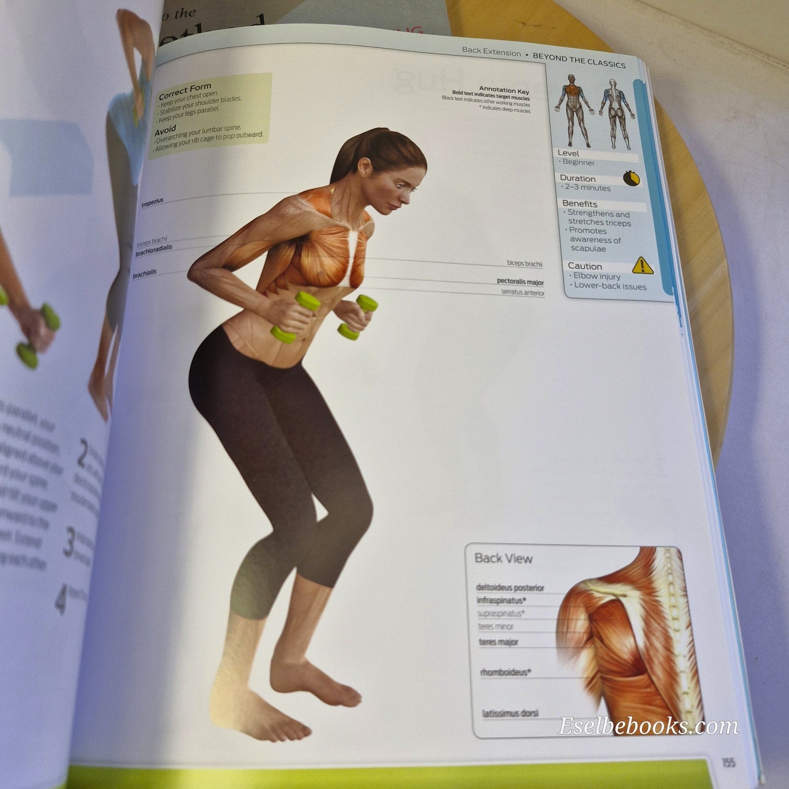 Pilates Anatomy of Fitness Trainer's Inside Guide to Your Workout - Isabel Eisen