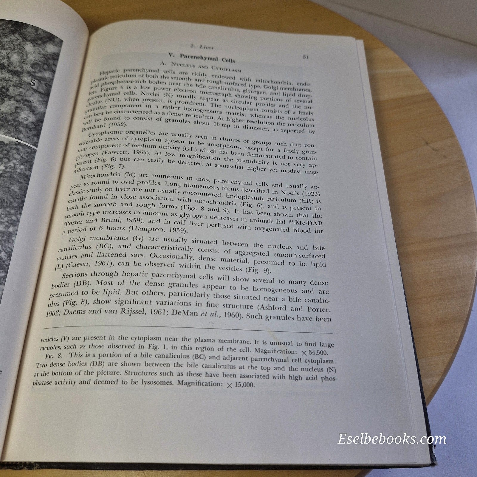 Electron Microscopic Anatomy - edited by Stanley Kurtz - vintage hardback