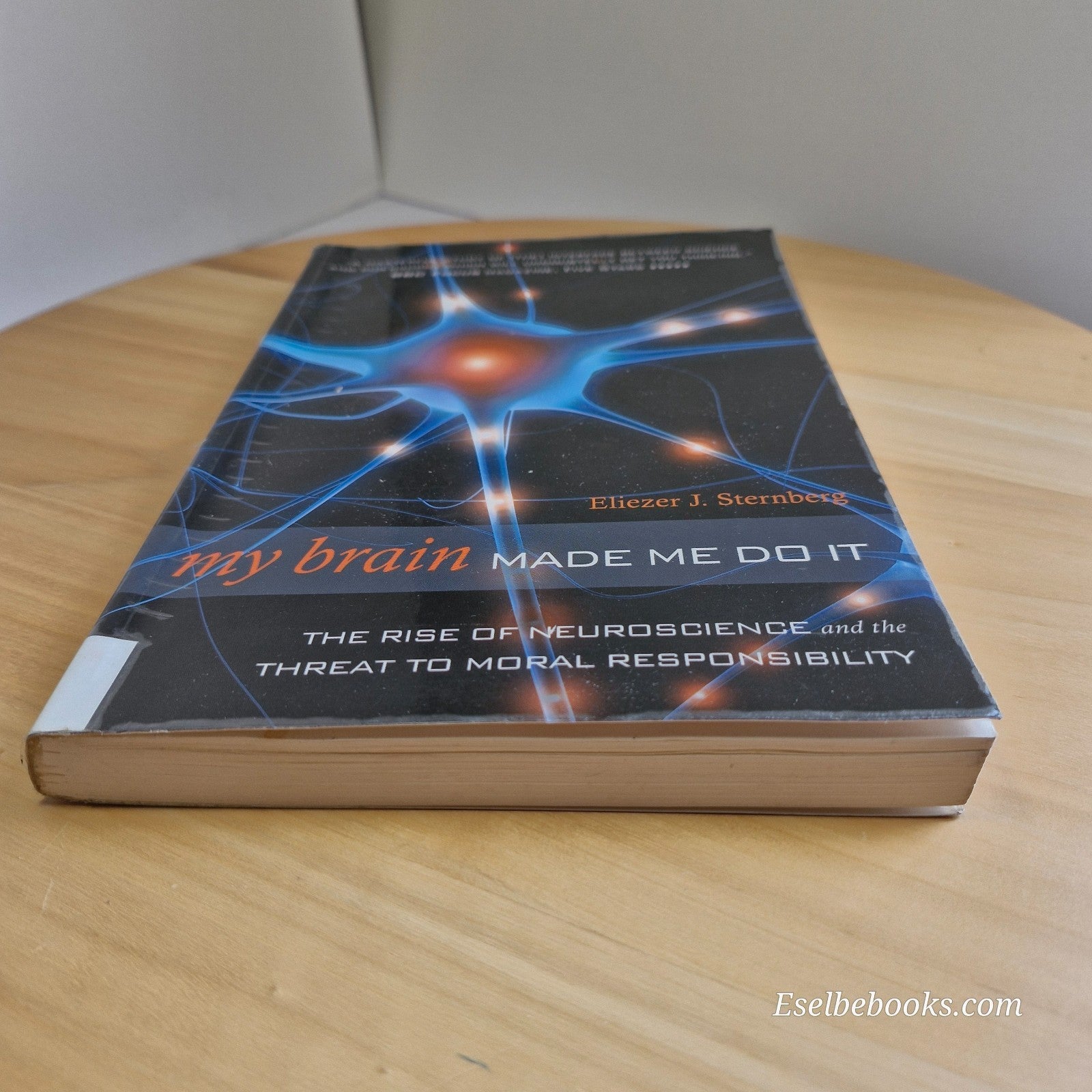 My Brain Made Me Do It by Eliezer J. Sternberg - paperback