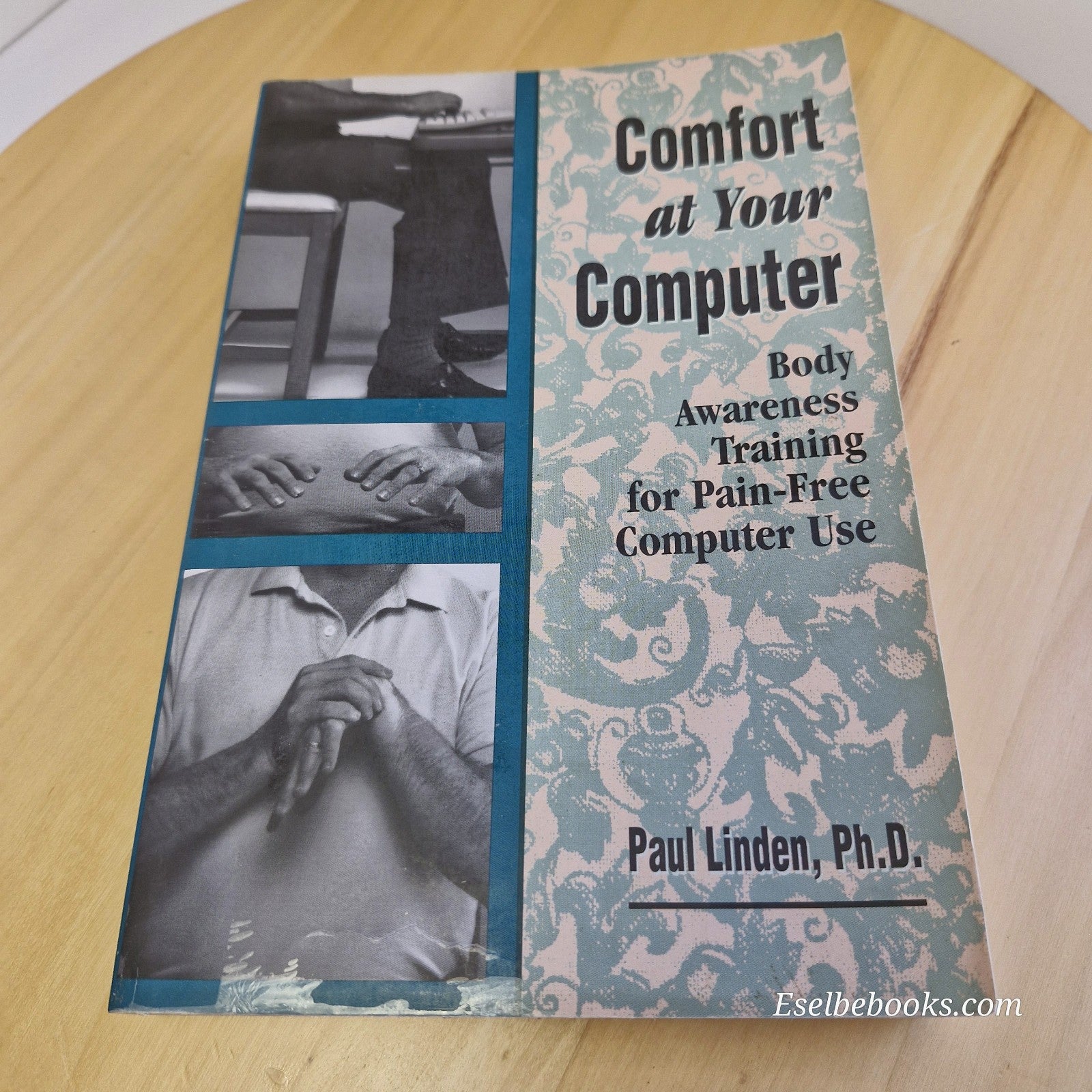 Comfort at Your Computer: Body awareness training by Paul Linden - paperback