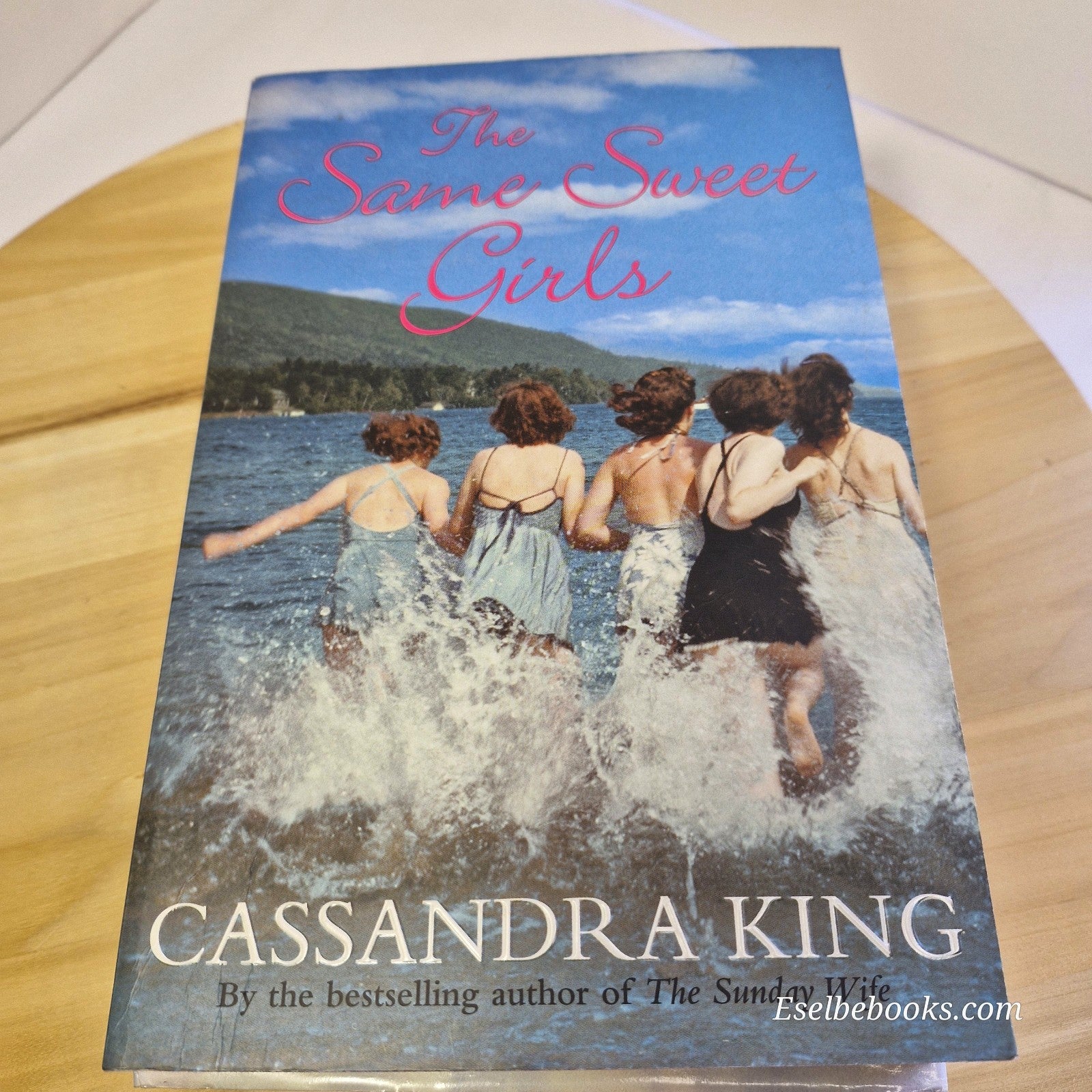 3 book bundle general fiction - Belva Plain/Colin Falconer/Cassandra King