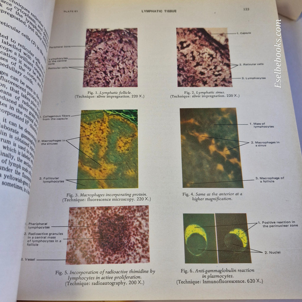 New Atlas of Histology Light Microscopy, Histochemistry and Electron Microscopy