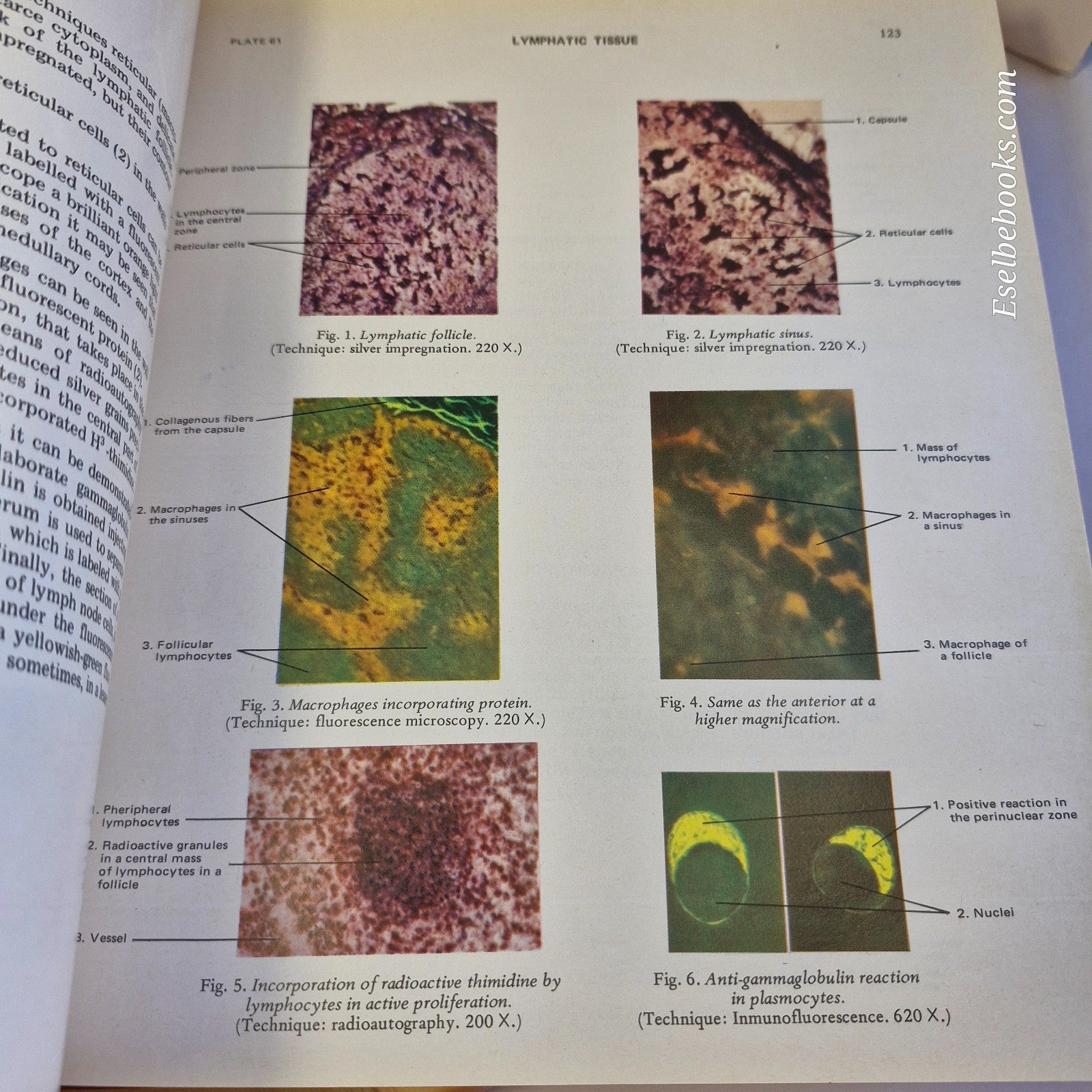 New Atlas of Histology Light Microscopy, Histochemistry and Electron Microscopy