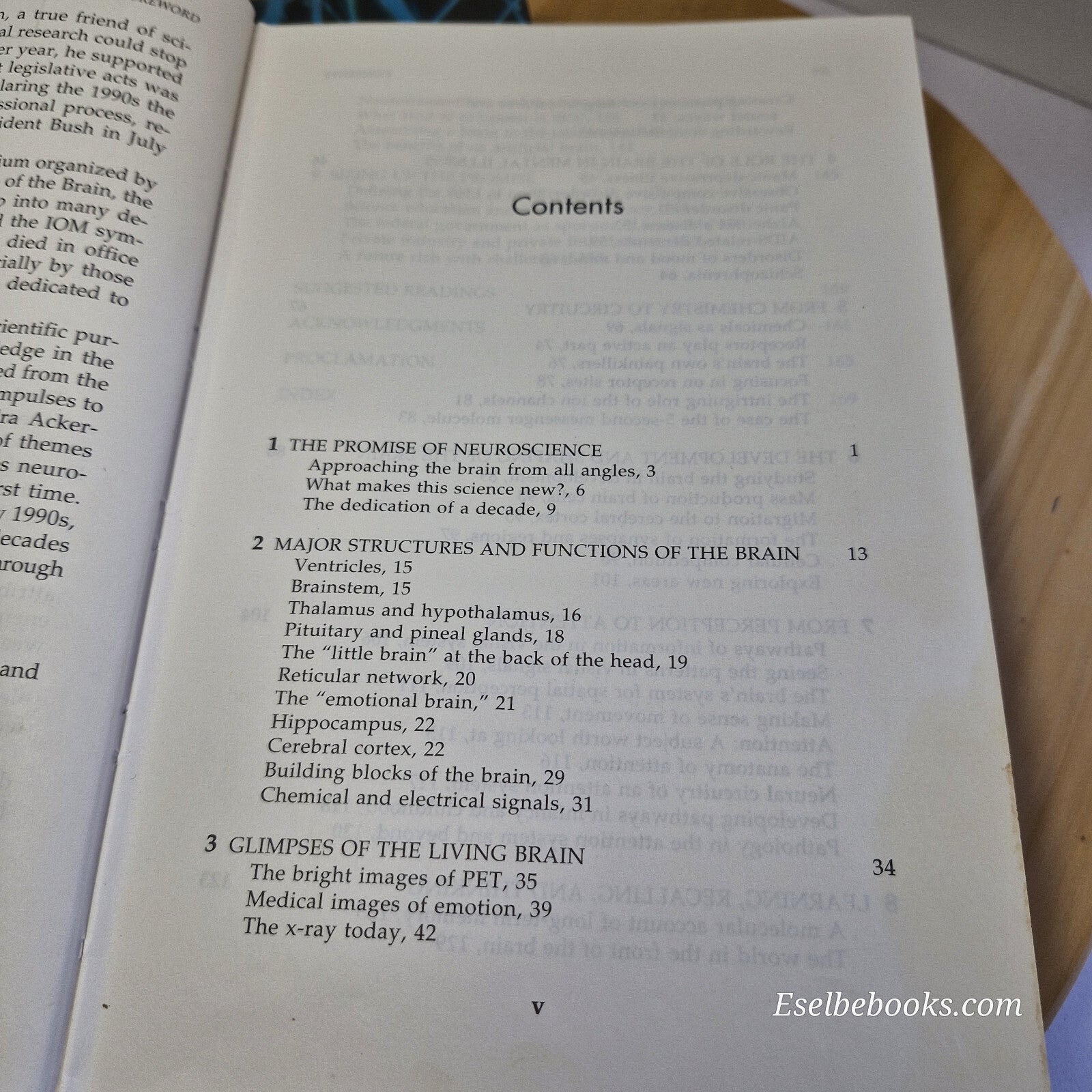 Science: 2 books about the brain - hardbacks