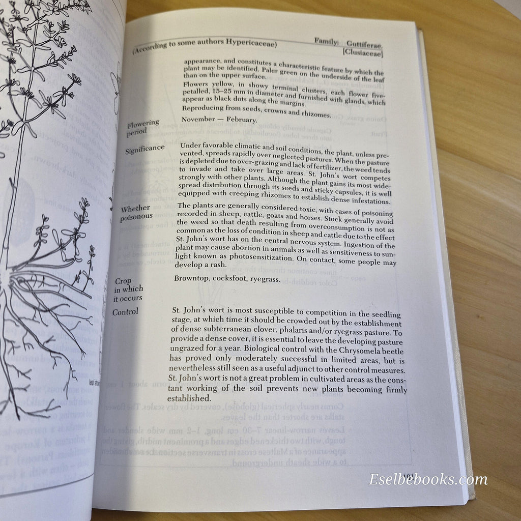 Identifying the Weeds Around You By Elizabeth Maria Felfoldi · 1993 - paperback