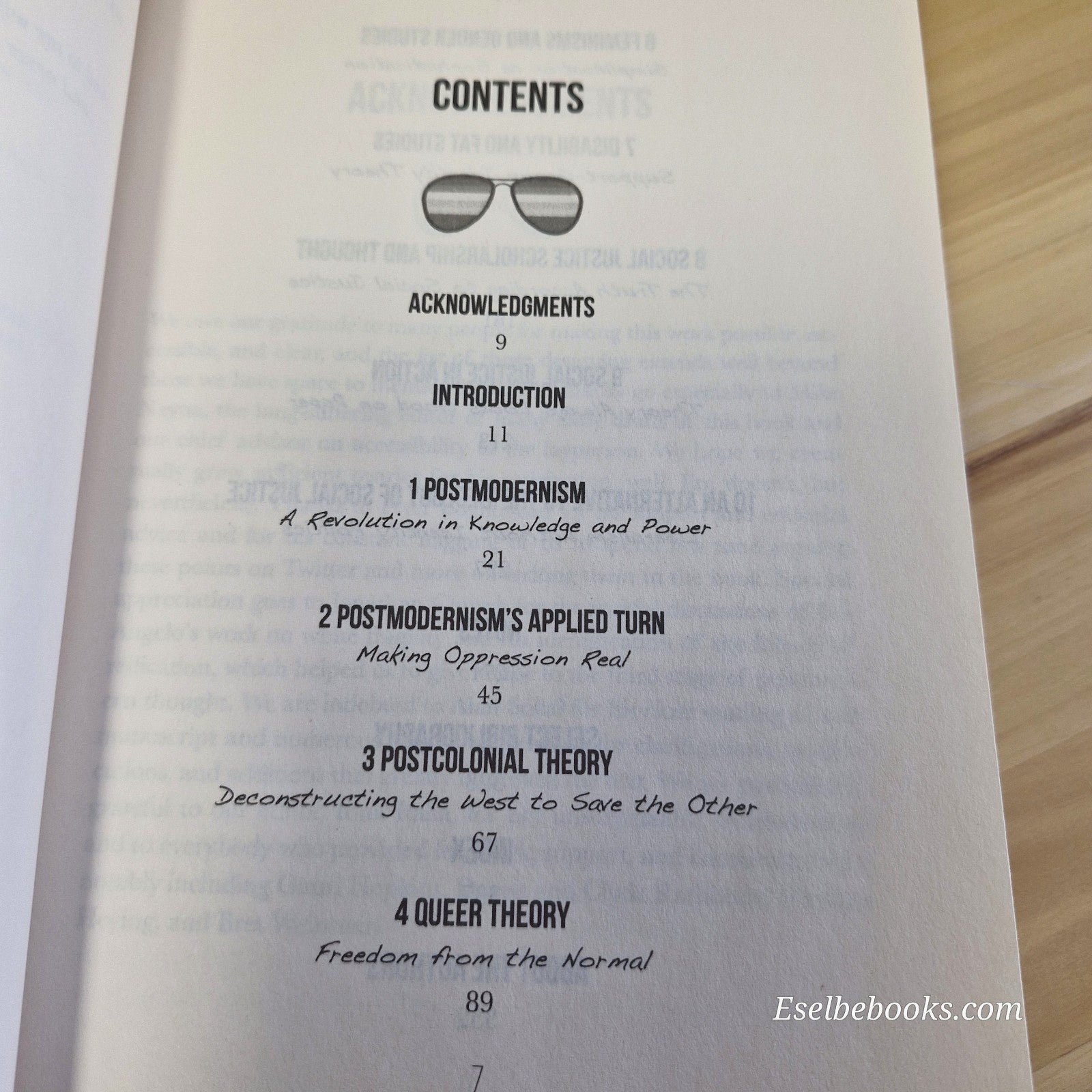 Cynical Theories: How Universities Made Everything about Race, Gender & Identity