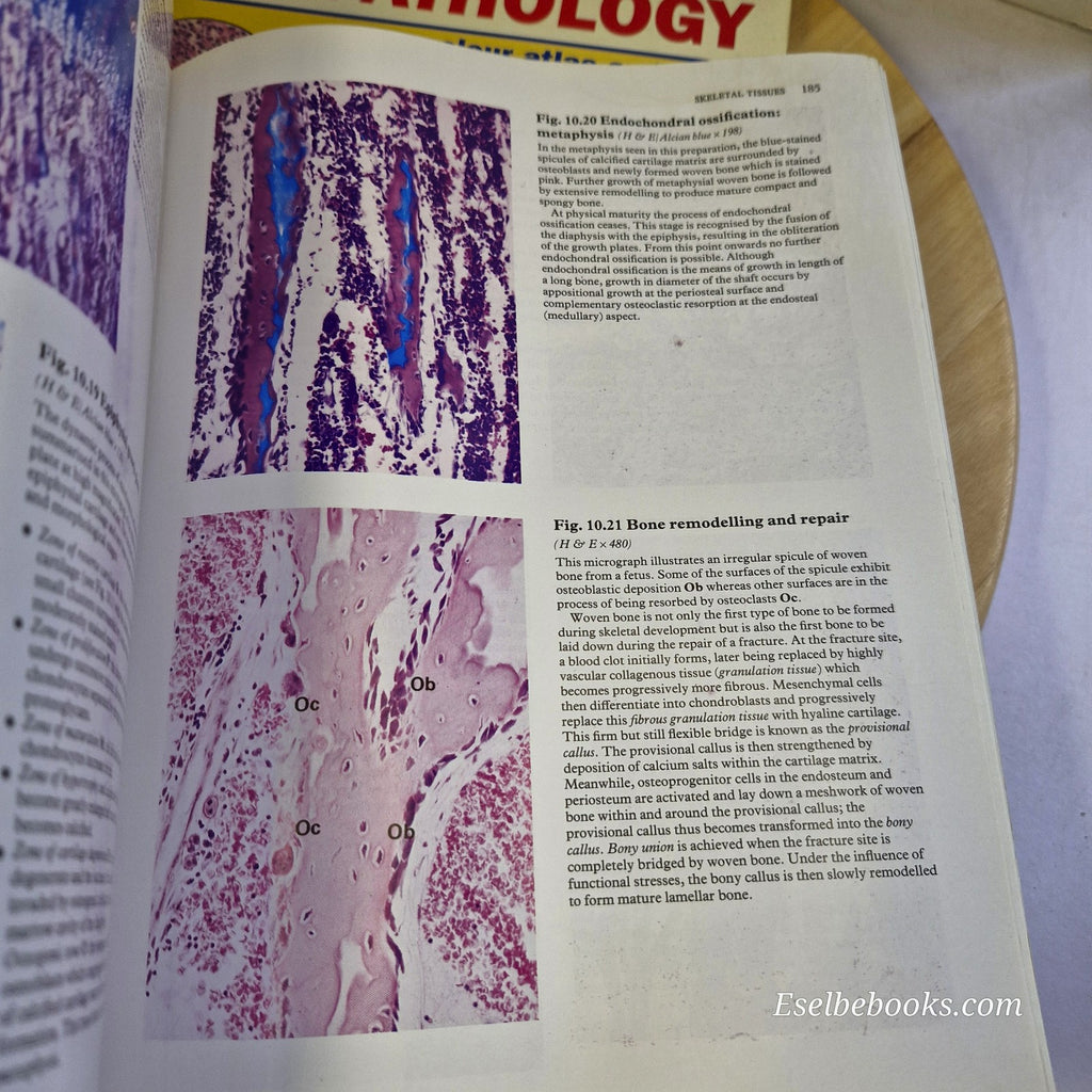 Wheaters Functional Histology & Basic Histology - paperbacks
