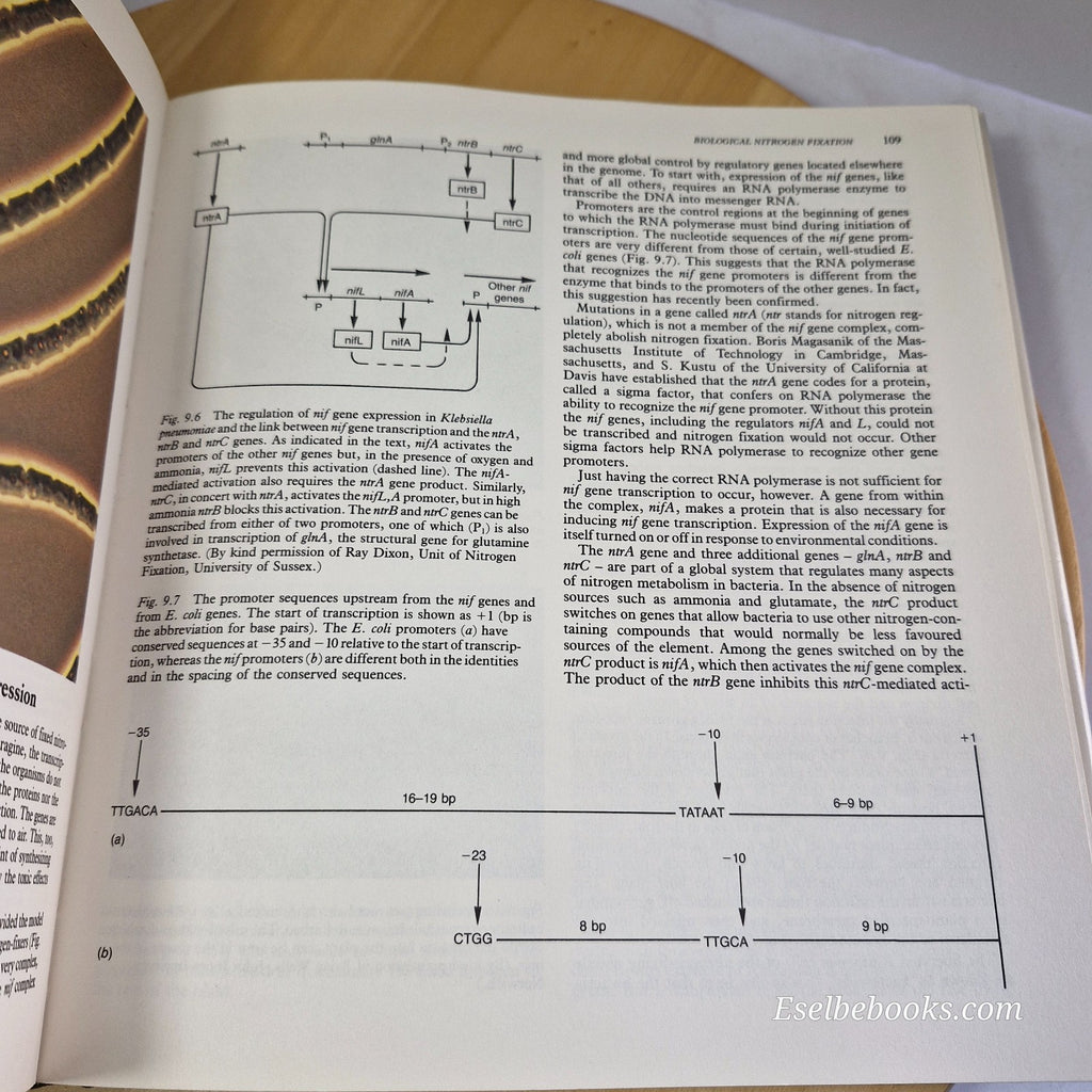 Revolution in Biotechnology by Jean L. Marx - hardback/dust jacket