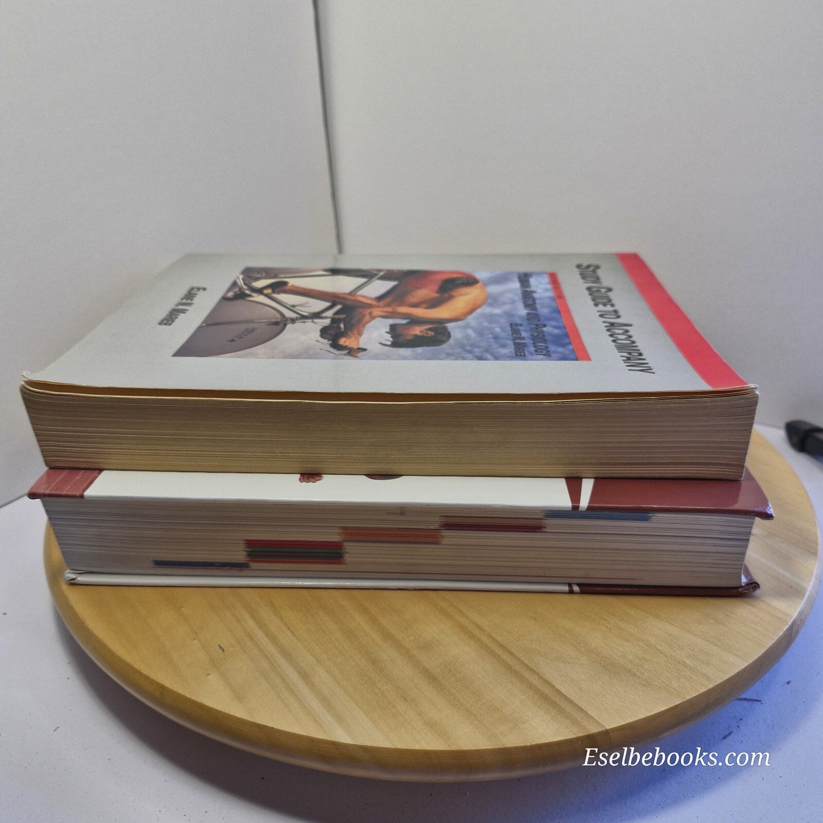 Human Anatomy & Physiology 8th ed. and study guide 2nd ed. By E Marieb, K Hoehn