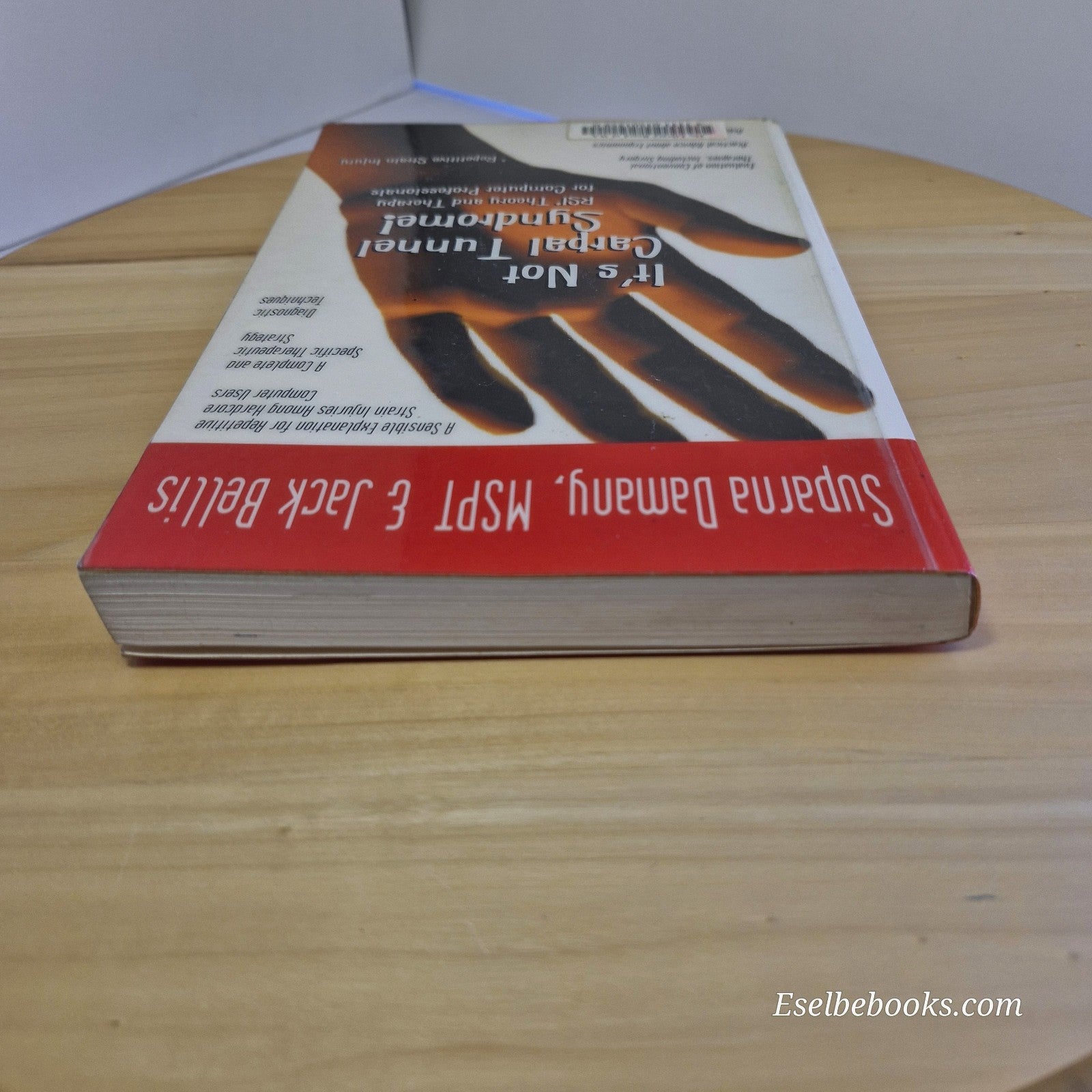 It's Not Carpal Tunnel Syndrome! RSI Theory and Therapy By S Damany, J Bellis