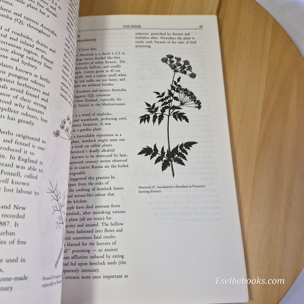 Wild Herbs Of Australia And New Zealand By Tim Low Bush Food Medicinal Plants