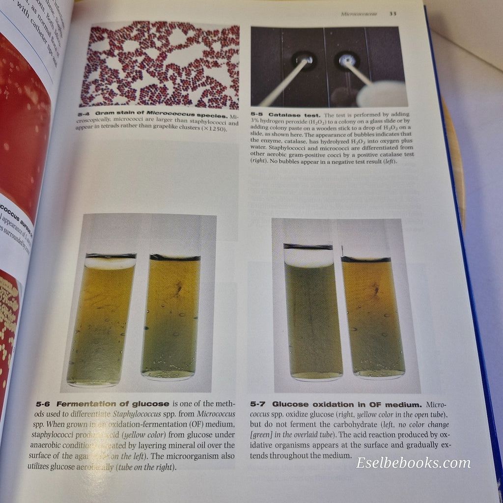 Color Atlas of Diagnostic Microbiology by E J Baron: L M De la Maza & M T Pezzlo