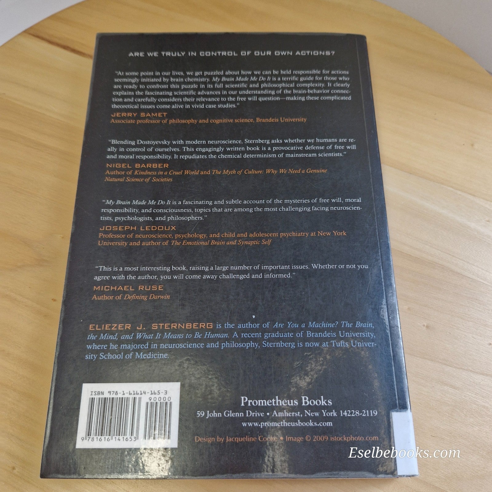 My Brain Made Me Do It by Eliezer J. Sternberg - paperback