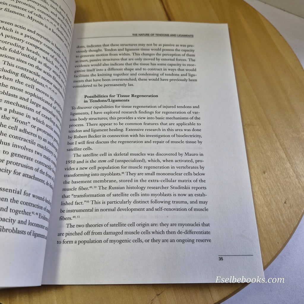 Tendon and Ligament Healing A New Approach Through Manual Therapy By William ...